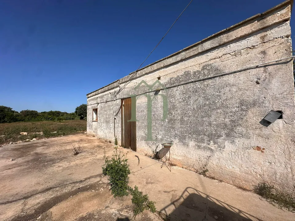 Ruin i Carovigno, Brindisi - bilde 1